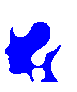 LSI logo